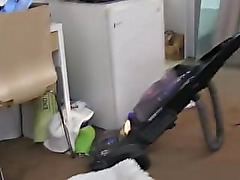 Check sorority college amateur babes