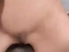 Nice round tits amateur babe fuck