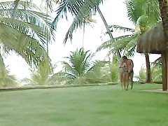 Nacho Vidal - Dangerous Things 2