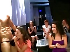 Hot amateur sluts suck cock