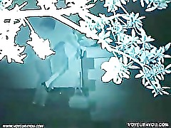 Love affairs at dark night