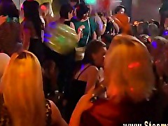 Amateur cock lovers get slammed