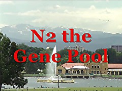N2 The Gene Pool!