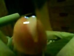 amateur cumshorts