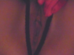 Sylvia real homemade Solo