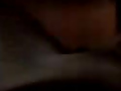 Plavusa naseda Serbian