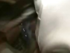 Amateur Douche Sperme