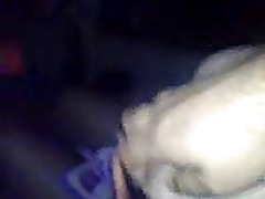 Plavusa pusi u kolima Serbian