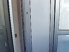 Bear Voyage: Cabin Cruisin