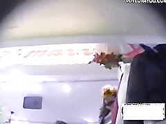 Underpants Various Panties