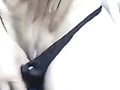 amateur sex on webcam