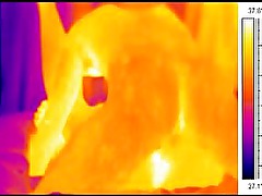 Sex in front of a thermal camera