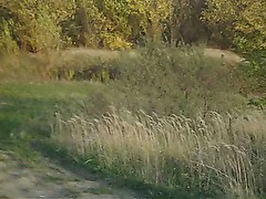 Amateurs in the nature