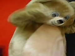 Check sexy amateurs partying hard