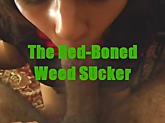 Weed head redbone hoe sucks me up at the pad