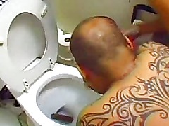 Amateur Brutal Femdom Torture in the toilet