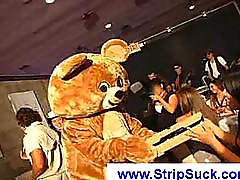 Party girls having fun with a sexy stripper