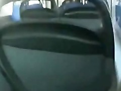 una rica mamada de guevo en el bus rumbo a miami