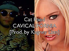 CAVICALIFORNIA - Cat Food [Prod. by Kagney Linn Karter]